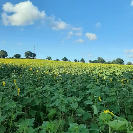 La Girardiere 招待所 3*