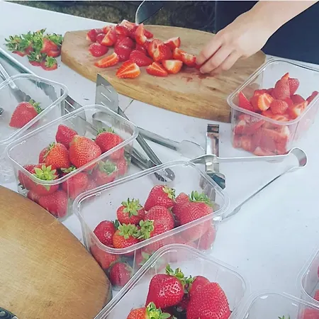 招待所 La Girardiere Le Busseau