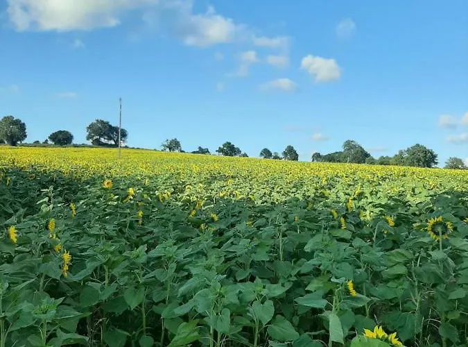 La Girardiere Guest house 3*